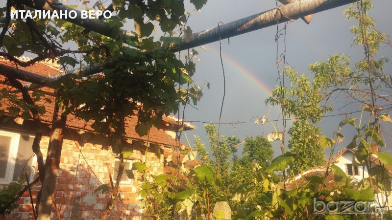 House for Sale in Rabisha, Vidin