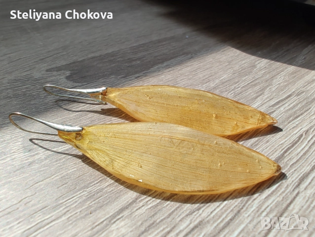 Обеци и пръстени