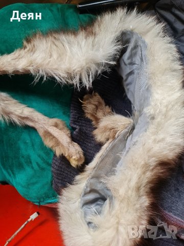 Естествен шал лисица, снимка 1