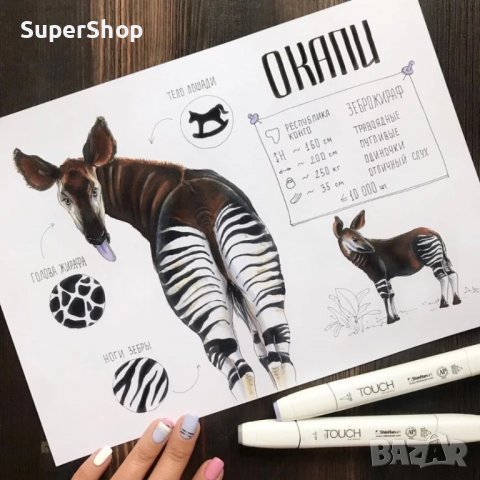 48/60/80 Комплект маркери маркер флумастери фулмастер за рисуване, снимка 7 - Ученически пособия, канцеларски материали - 38601095