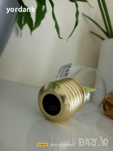 Bulb fiction Cactus лед филаментна акумулаторна крушка кактус, снимка 4 - Декорация за дома - 51192698