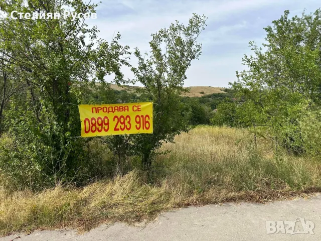 с. Калипетрово имот 1191кв.м / градина / парцел / терен , област Силистра -цена 11 000лв на 100м от 