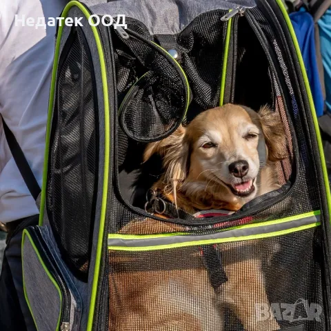 Раница за транспортиране на домашни любимци, Black Grey, 33x24x41 см, снимка 2 - За кучета - 47376407