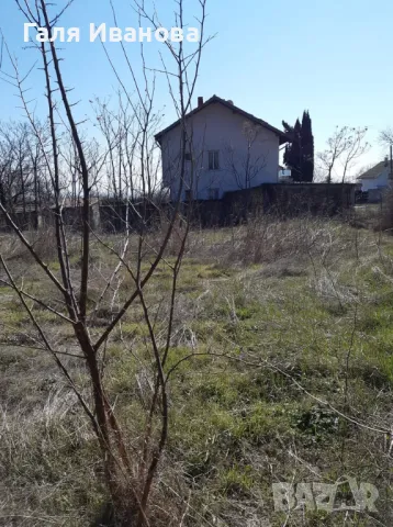 Два парцела в с.Оряховица, снимка 5 - Парцели - 49889250