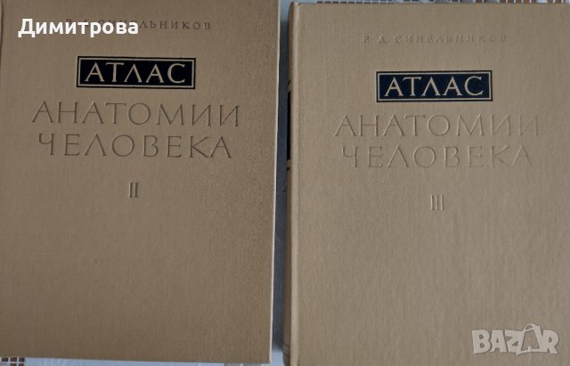 Атлас анатомии человека на Р.Д. Синельников, снимка 1 - Специализирана литература - 43690043