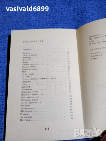 Яворов - В часа на синята мъгла , снимка 5 - Българска литература - 51937949