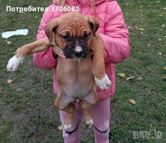 Породава се женска с поставена първа ваксина и паспорт 