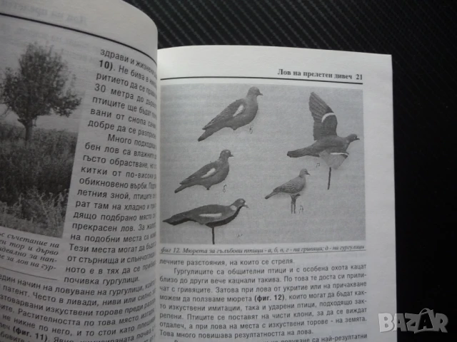 Лов на прелетен дивеч Николай Русков пъдпъдък горски бекас куче ловец пушка ловджия, снимка 3 - Други - 50495271