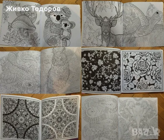 ИЗКУСТВО - книги с творби на художници и книги за оцветяване, снимка 10 - Художествена литература - 49929297