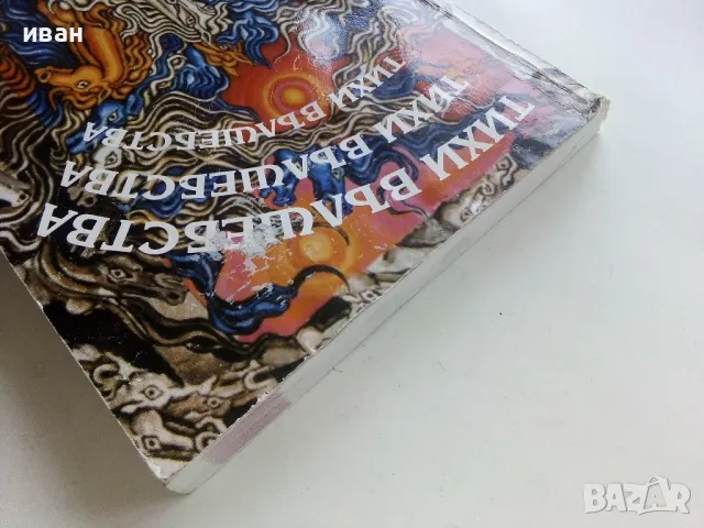 Тихи вълшебства - Дела Рай - 2004г., снимка 10 - Художествена литература - 49260967