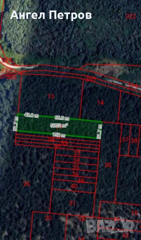 Гора 5 дка, село Гривица, общ.Плевен