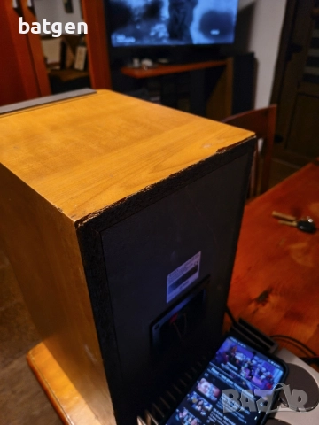 Sony ss-nx1, снимка 9 - Тонколони - 51955620