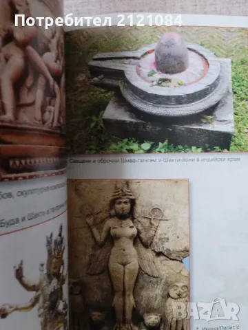 ДНК на боговете / Крис Х. Харди, снимка 5 - Специализирана литература - 49148386