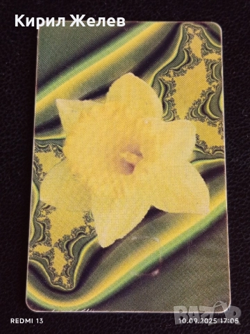 Четири фонокарти БУЛ ФОН тема ЦВЕТЯ редки за КОЛЕКЦИЯ ДЕКОРАЦИЯ 41204, снимка 7 - Други ценни предмети - 51668860