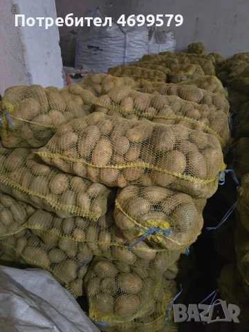 Вкусни картофи от производител , снимка 3 - Домашни продукти - 52976615