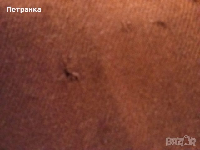 На вашето внимание - 50 годишен войнишки клин, снимка 4 - Антикварни и старинни предмети - 51953037