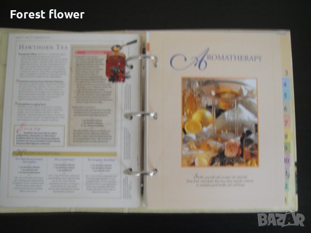 Книга/Класьор - The Complete Guide to Natural Healing, снимка 7 - Енциклопедии, справочници - 37516127
