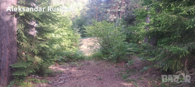 Продава се земя в Родопите, снимка 5 - Земеделска земя - 51240521