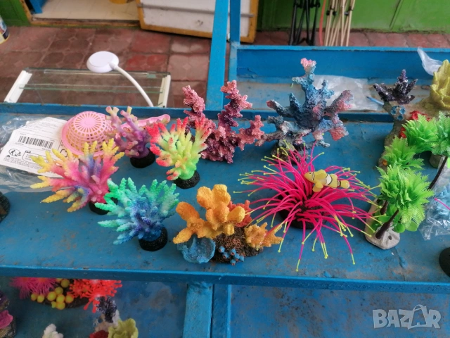 Продавам аквариуми риби аксесоари, снимка 18 - Аквариуми - 47433173