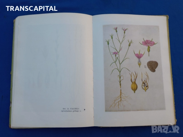 Борба с плевелите , снимка 10 - Специализирана литература - 51794322