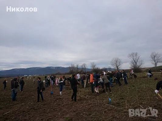 Продава парцел - град София, Суходол, снимка 4 - Парцели - 49841824