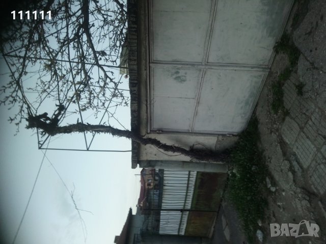 Лоза става за декорация за игра и катерене на котки , снимка 7 - Други стоки за дома - 32531302