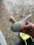 ПИЛЕ ГЪЛЪБ ПТИЦА ФИГУРА ДЪРВО ДЪРВОРЕЗБА РИСУНЪК-3 БР., снимка 6