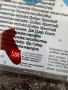 Зимни и коледни песнички CD, снимка 4