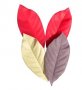 2 бр Дълги листа листо с релеф вейнър за цвете силиконов молд форма декорация торта фондан шоколад , снимка 1 - Форми - 37206222