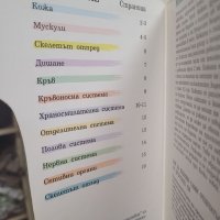 Човешкото тяло," прозрачна " енциклопедия от 1993 г., снимка 16 - Енциклопедии, справочници - 39007785