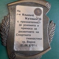 Награда за спортна гимнастика -Благой Кузманов гр.Варна, снимка 1 - Колекции - 33573227