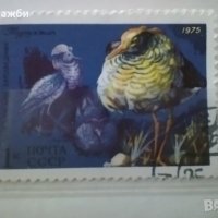 Красива колекция антични пощенски марки с птици от 1975 г., снимка 3 - Филателия - 43415014