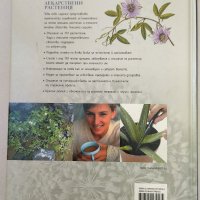 Лекарствени растения - Наръчник на билките и лечебните им свойства, снимка 2 - Енциклопедии, справочници - 43939342