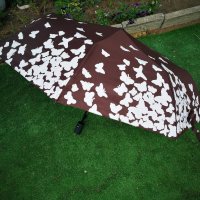 Магически чадъри с пеперуди .Последен 1 брой., снимка 4 - Подаръци за жени - 36722205