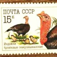 Чисти марки Фауна Домашни Птици 1990 от СССР, снимка 1 - Филателия - 39872116