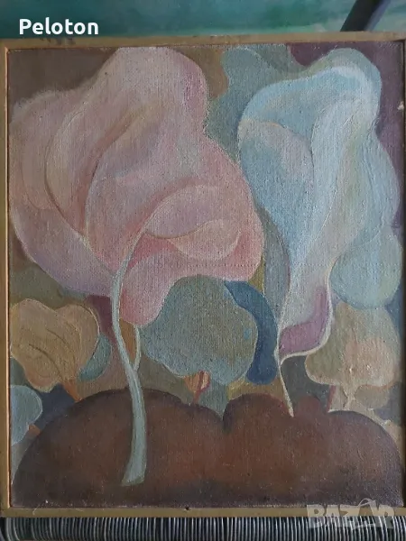 Калина Атанасова , снимка 1