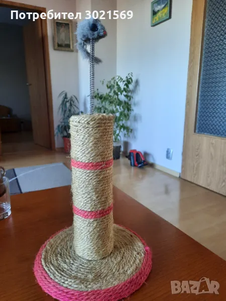 Драскалка 2в1 за котенца, снимка 1