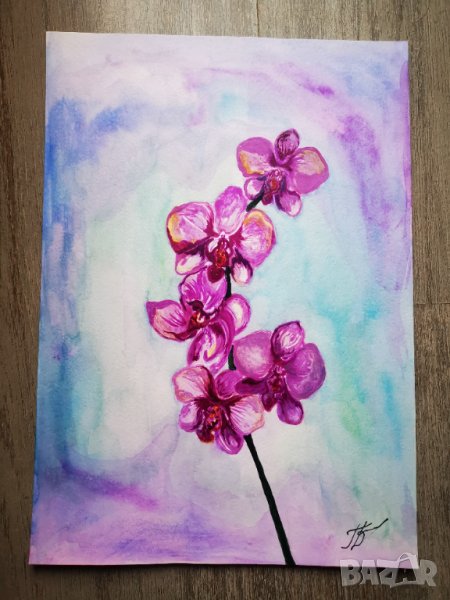 Цветна орхидея, снимка 1