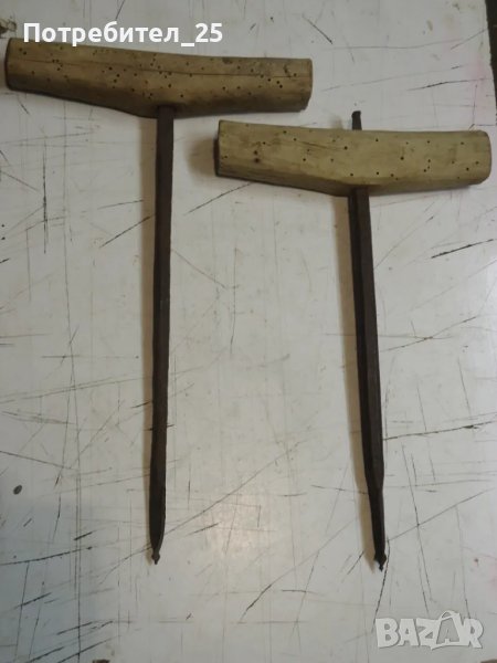 Сто годишни сфредели, снимка 1