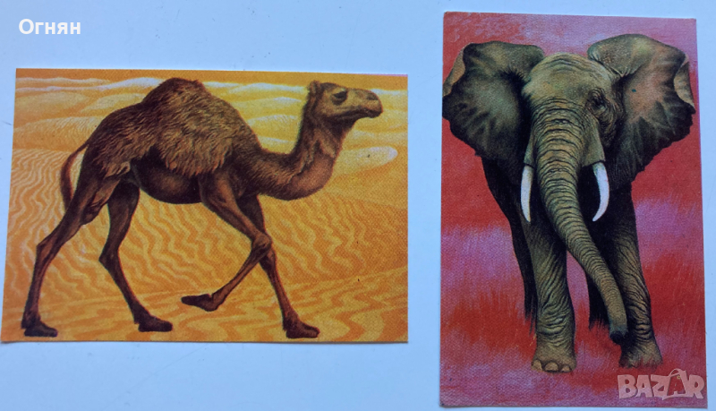 Календарчета, различни видове и години, снимка 1