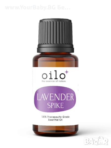 Oilo БИО Етерично Масло от Широколистна лавандула - Broad Leaf Lavender Oilo 5 мл., снимка 1