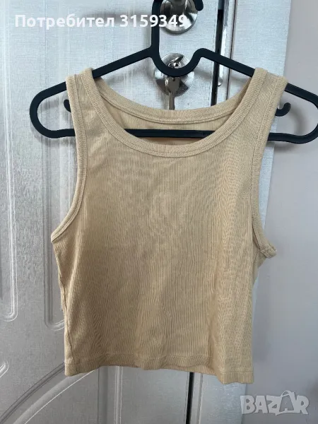 Жълт потник, снимка 1