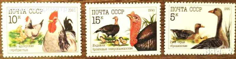 Чисти марки Фауна Домашни Птици 1990 от СССР, снимка 1