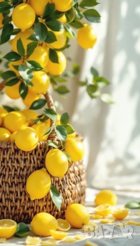 дамски комплекти , снимка 2 - Комплекти - 50946354