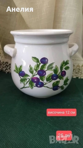 Съд или кашпа с боровинки