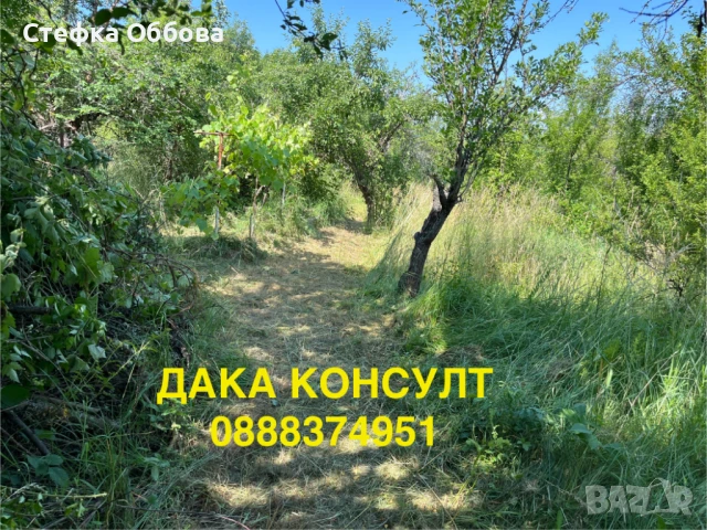 Продавам къща в с. Жедна, снимка 4 - Къщи - 50757061