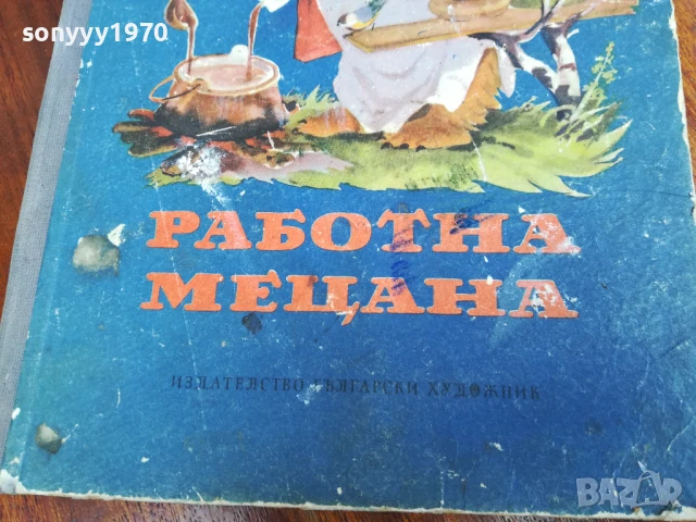 РАБОТНА МЕЦАНА 30Х20СМ 0906251844LCHERY, снимка 2 - Други - 50606745