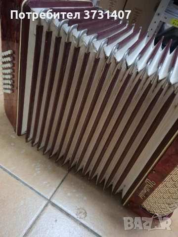 Акордеон Weltmeister 40 баса, снимка 4 - Акордеони - 53573987