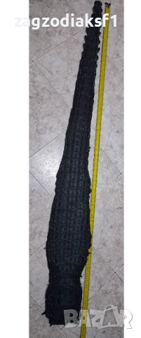 Кожа от гръб на Крокодил 153,5 см., снимка 2 - Колекции - 52801971