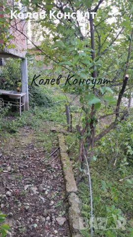 Продавам едноетажна къща в село Звиница,община Кърджали , снимка 7 - Къщи - 50263275